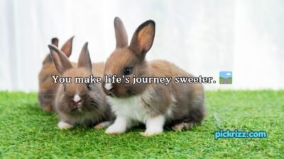 Bunny Pickup Lines