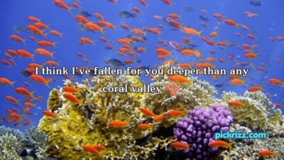 coral reef pick up lines