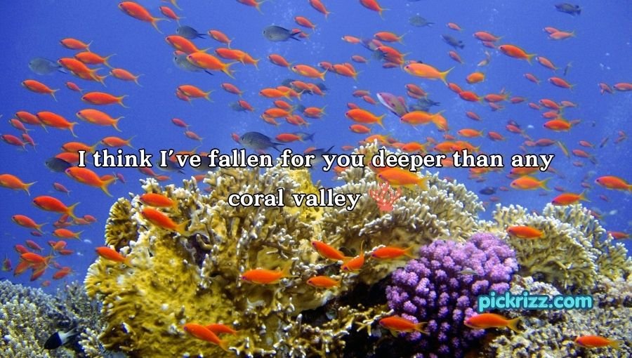 coral reef pick up lines