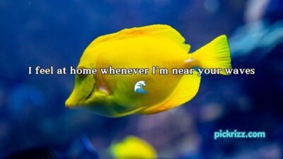 Fish Pick Up Lines for Her