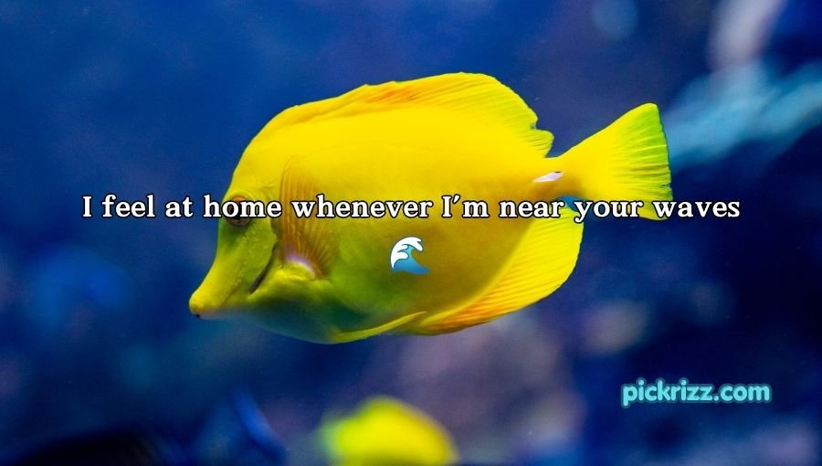 Fish Pick Up Lines for Her