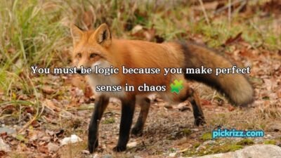 Fox Pickup Lines
