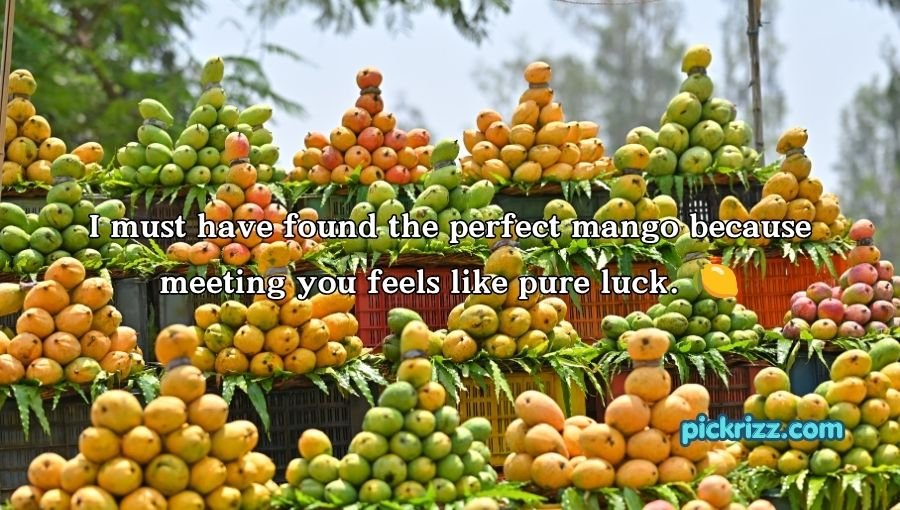 Mango Pick Up Lines