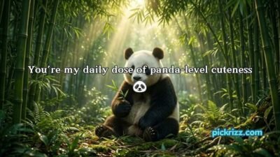Panda Pickup Lines
