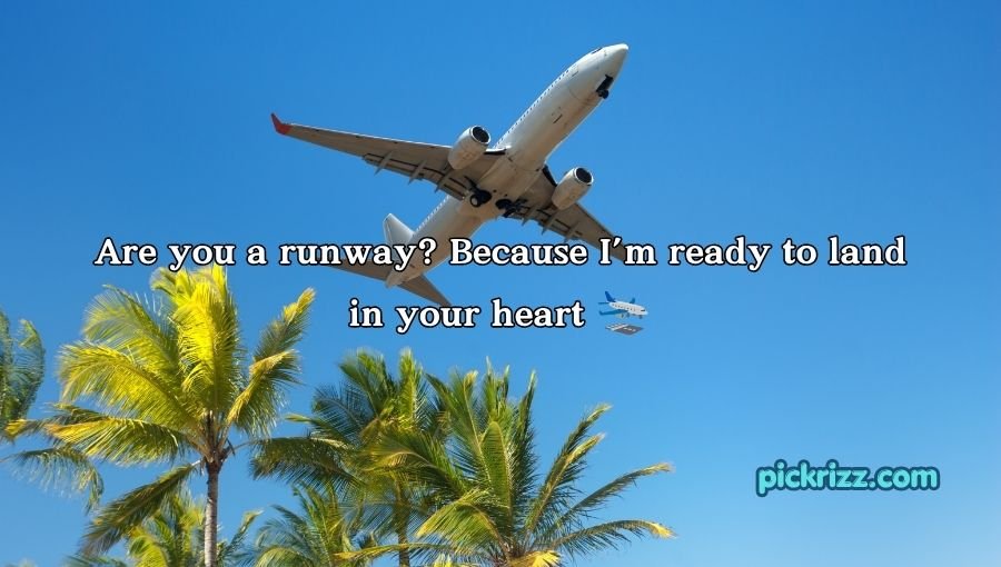 Plane Pick Up Lines