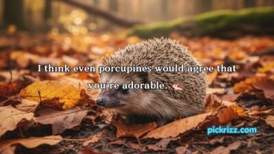 Porcupine Pickup Lines